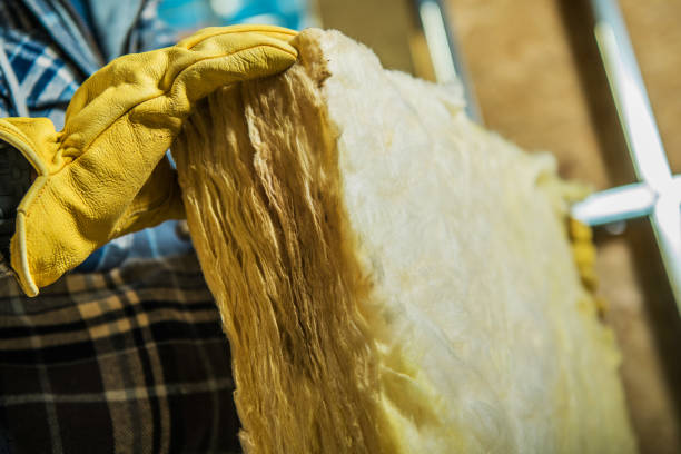 Best Eco-Friendly Insulation in Shoh, IL